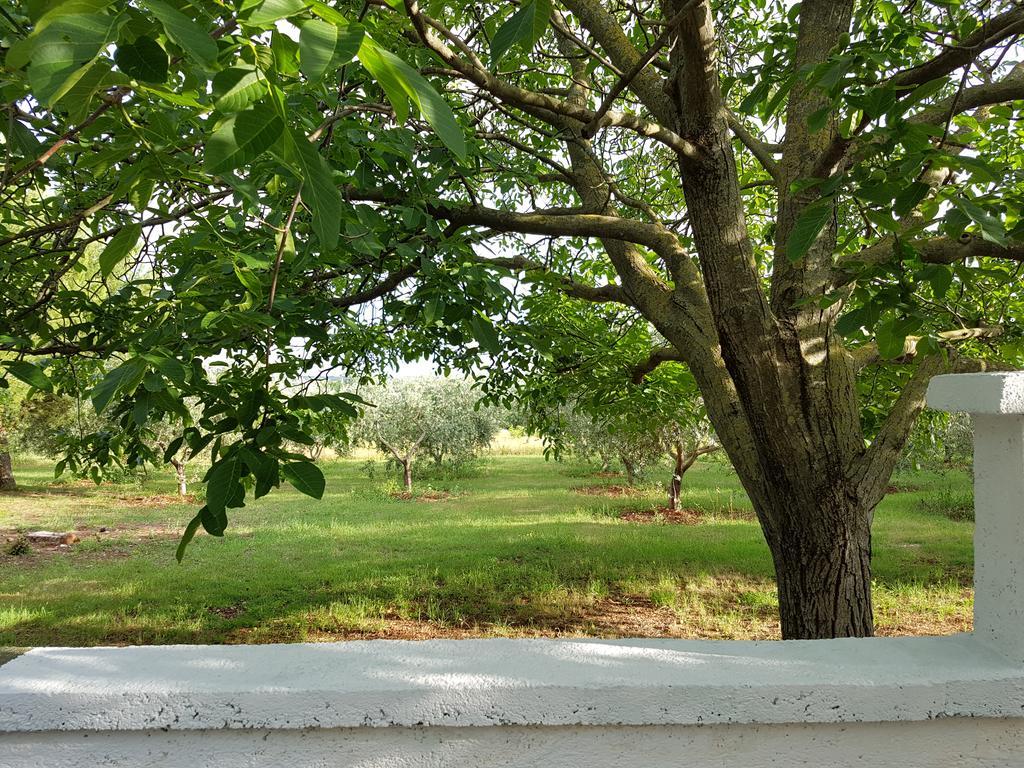 Villa Rosa With Yard And Children'S Playground Тар Экстерьер фото